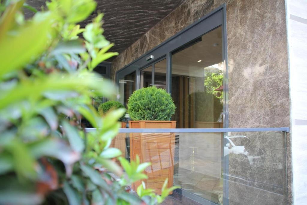 Boutique Hostel *